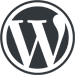 WordPress Development Company